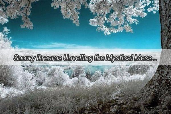 Snowy Dreams Unveiling the Mystical Messages Hidden in a Mans Winter Night Visions